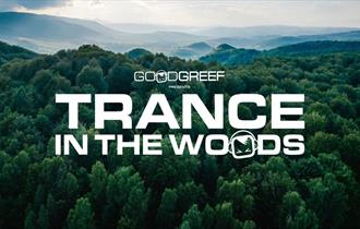 Trance in the woods 2024