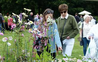 Summer Plant Hunters' Fair at Thoresby Park