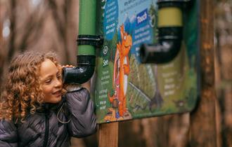 Zog activity trail at Sherwood Pines
