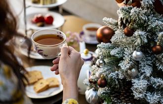 Photo of a person holding a cup of tea with a christmas tree in the background