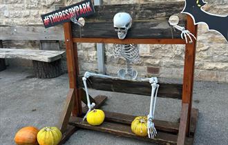 Thoresby Park Halloween Trail
