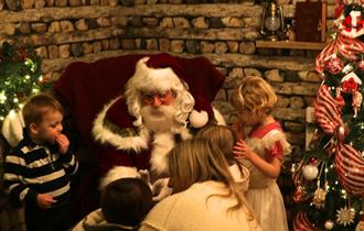 Christmas Woodland Wonderland