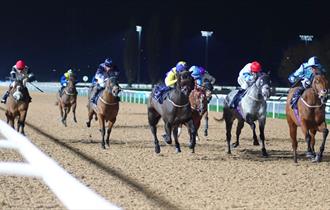 Evening Flat Racing at Southwell Racecourse
