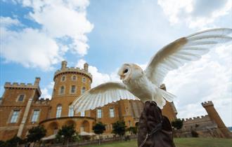 Belvoir Castle Landscape