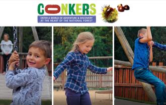 Conkers