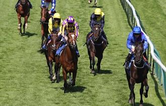 £9 Afternoon Racing at Nottingham Racecourse 2025
