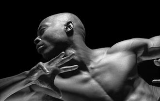 Top half of a male ballet dancer striking a pose