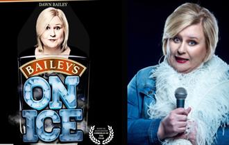 Dawn Bailey: Baileys on Ice - Standup Show at Nottingham Comedy Festival
