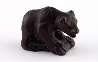 Bears! Nature, Culture & Beyond