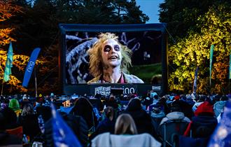 Halloween Outdoor Cinema at Wollaton Park