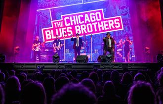 the chicago blues brother on stage