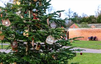 Christmas at Clumber Park 2023
Credit: Jon Scrimshaw