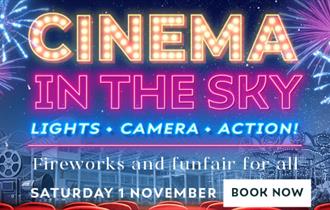 Cinema in the Sky at Nottingham Racecourse

