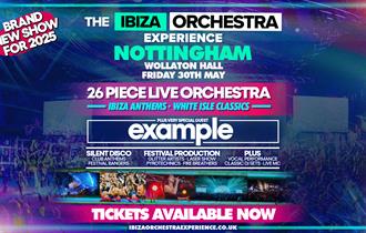 Artwork graphic for Ibiza Orchestra