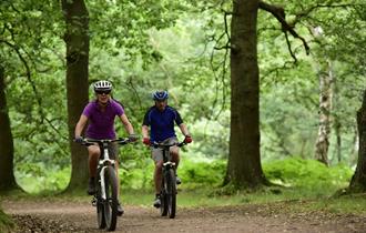 Sherwood Forest Visitor Centre & National Nature Reserve