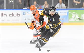 Nottingham Panthers v Sheffield Steelers