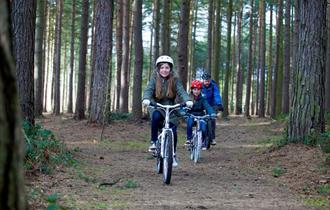 Cycling in Sherwood Forest