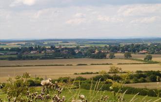 Orchard Hill Farm Cottages