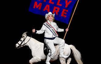 Hayley Ellis - Silly Mare