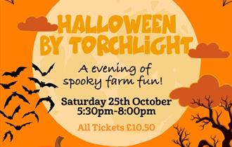 Halloween by torchlight