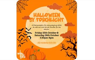 Halloween by torchlight
