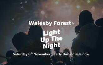 Light Up The Night Fireworks Display at Walesby Forest