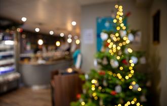 Christmas at Clumber Park 2025