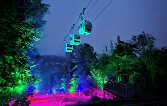 Photo of the cable cars lit up