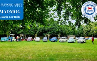 Line up of classic cars