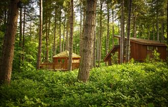 Forest Holidays | Visit Nottinghamshire