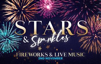 Stars & Sparkles Firework Display at Twinlakes
