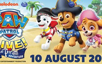 Graphic of Paw Patrol characters