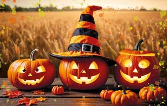 Pumpkin Fest at Manor Farm Park & Woodlands
