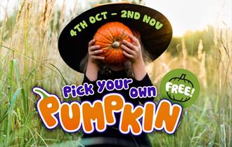 Pumpkin Picking