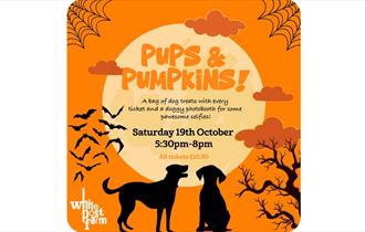 Pups & Pumpkins