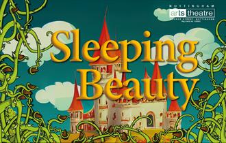 Sleeping Beauty Pantomime
