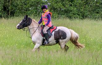 Derbyshire Pony Trekking