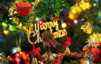 Eastwood Christmas Lights Switch On 2025