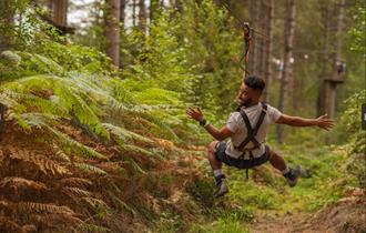 Go Ape at Sherwood Pines