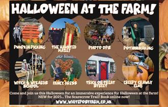 Halloween at the farm