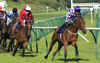 Grassroots Finals Day at Nottingham Racecourse
