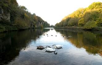 Creswell Crags, Nottinghamshire