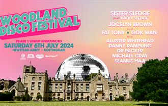 Woodland Disco Festival