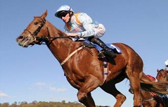 RSA Syndicate £9 Raceday at Nottingham Racecourse
