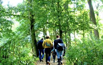 Photo of a group walking through a forest or wooded area