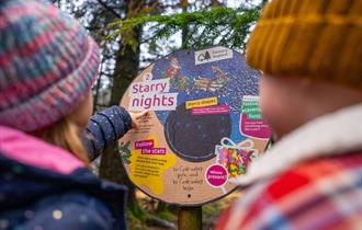 The Stick Man Christmas trail at Sherwood Pines