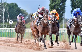 Southwell Racecourse
