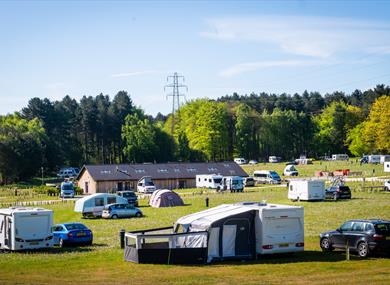 Sherwood Pines Campsite - - Visit Nottinghamshire