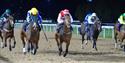 Evening Flat Racing at Southwell Racecourse
