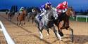 Evening Flat Racing at Southwell Racecourse
